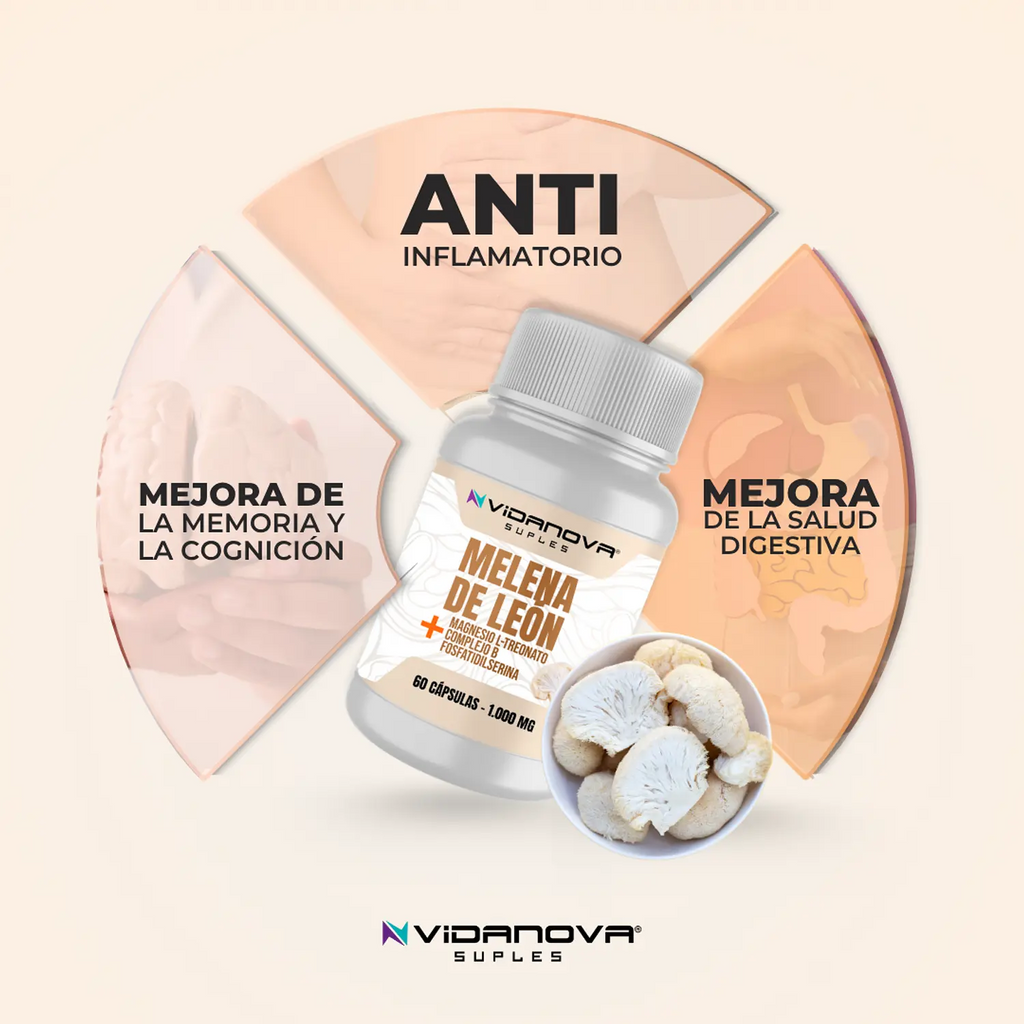MELENA DE LEON FORTIFICADA 60 CAPS -  Vidanova®